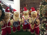 /album/fotografias-comparativas/n1-1-jpg/