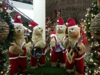 /album/fotografias-comparativas/n2-1-jpg/