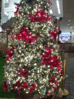 /album/fotografias-comparativas/n2-2-jpg/