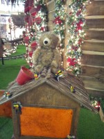 /album/fotografias-comparativas/n1-3-jpg/